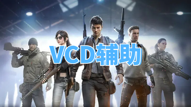<b>三角洲VCD辅助</b>